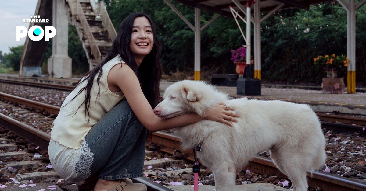 Mô tả hình