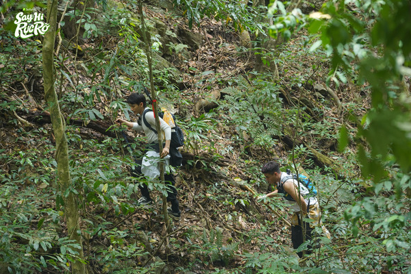 Mô tả hình