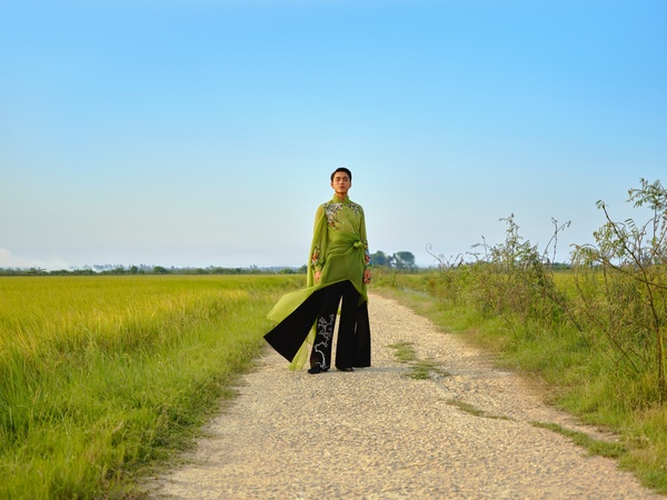 Mô tả hình