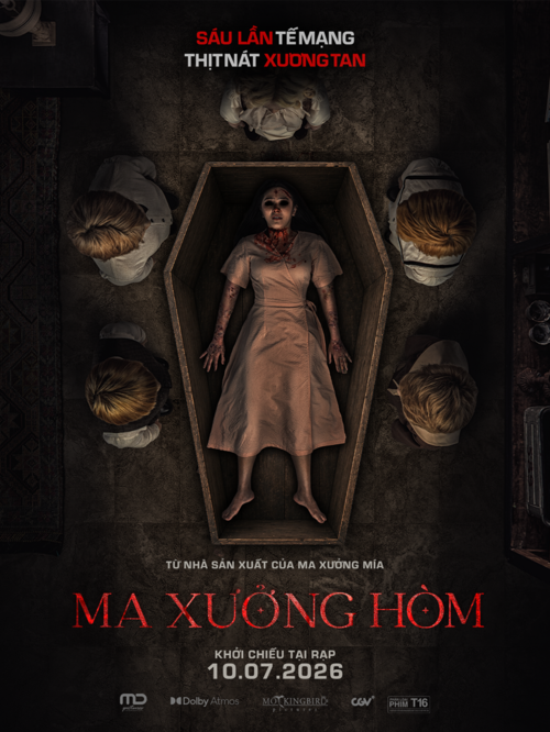 Mô tả hình
