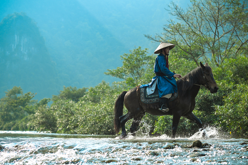 Mô tả hình