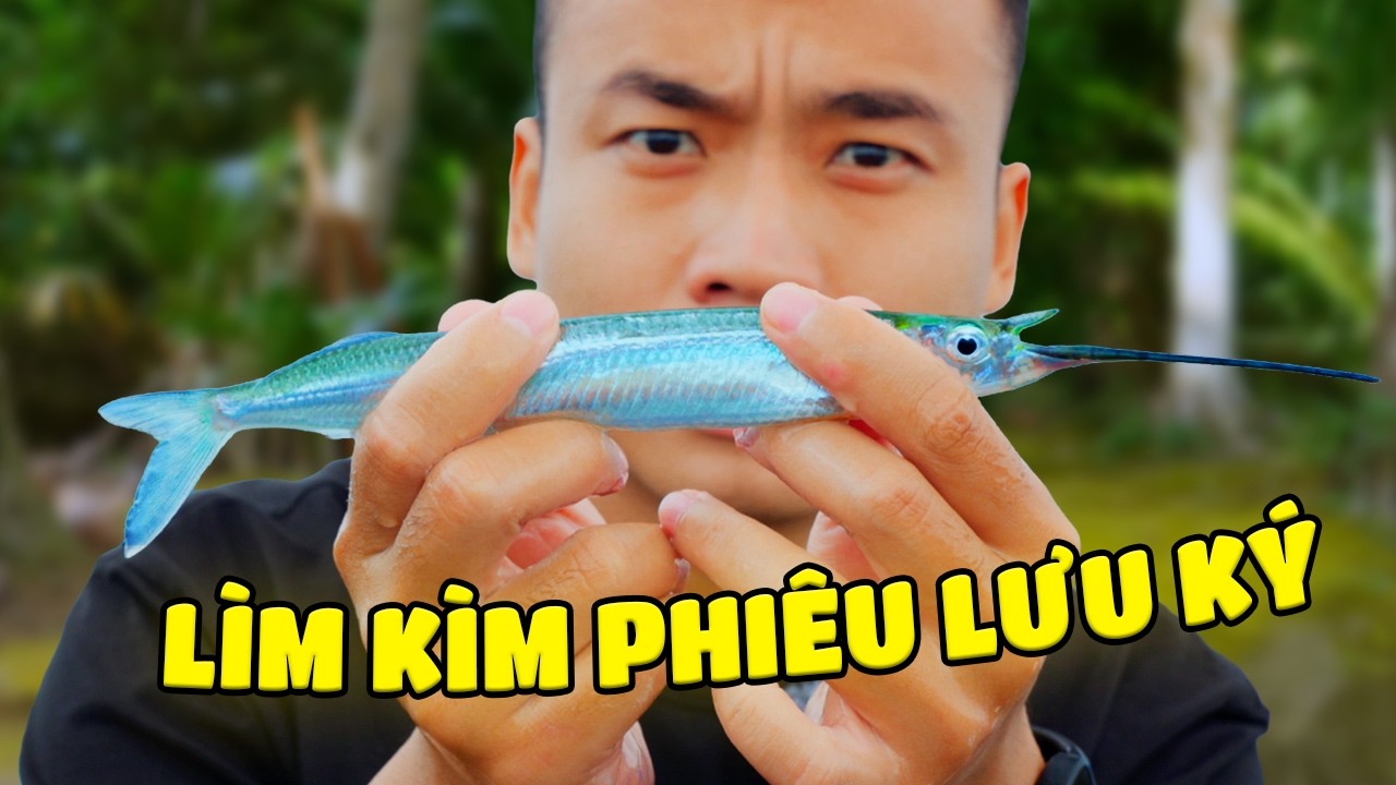 Mô tả hình