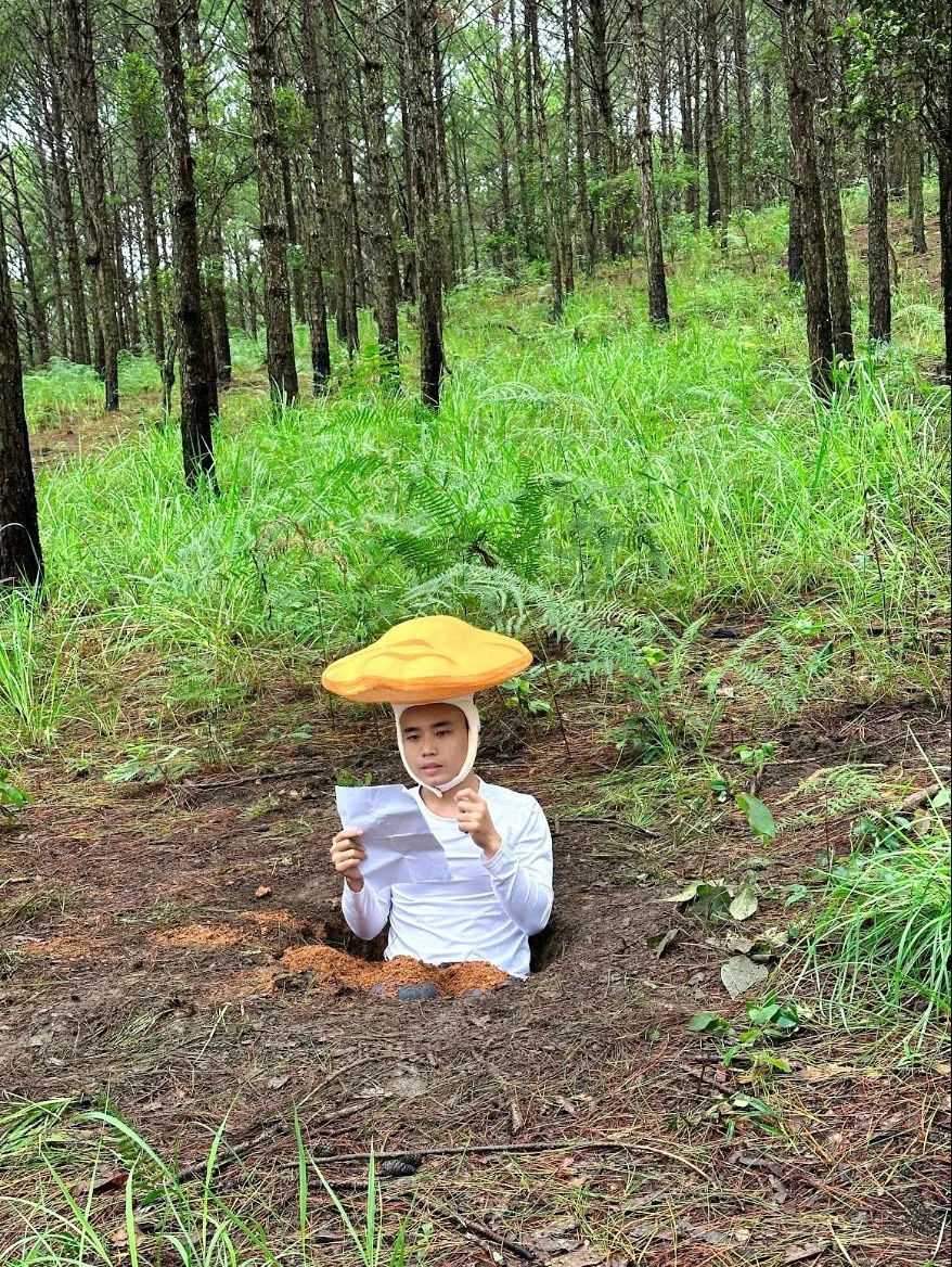 Mô tả hình