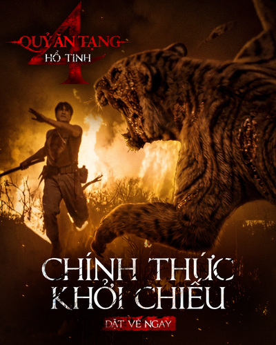 Mô tả hình