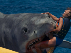 Hàm Cá Mập: 50 năm vẫn ám ảnh