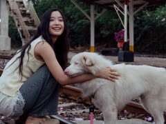 Tạm Biệt Gohan phim chữa lành gây xúc động