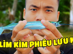 The Cod Show và góc nhìn thiên nhiên trẻ