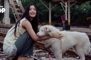 Tạm Biệt Gohan phim chữa lành gây xúc động