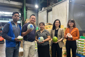 Bưởi Việt Nam chính thức vào thị trường Australia