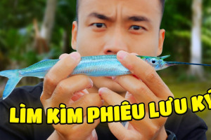 The Cod Show và góc nhìn thiên nhiên trẻ