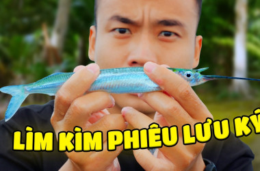 The Cod Show và góc nhìn thiên nhiên trẻ
